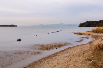 小野田・縄地ヶ鼻付近（山口県：2026年1月）