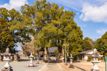美祢・下嶺八幡宮（山口県：2026年1月）