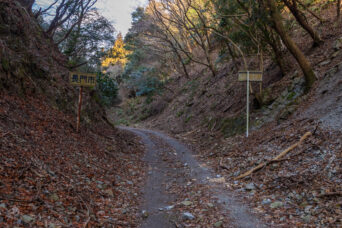 美祢・長門・大ヶ峠（山口県：2026年1月）