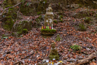 美祢・長門・大ヶ峠（山口県：2026年1月）
