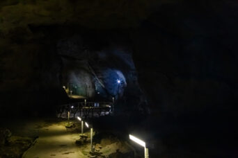 美祢・美東・大正洞（山口県：2026年2月）