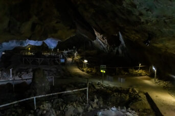 美祢・美東・大正洞（山口県：2026年2月）