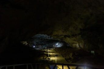 美祢・美東・大正洞（山口県：2026年2月）