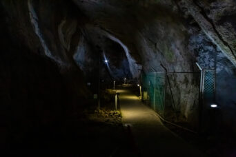 美祢・美東・大正洞（山口県：2026年2月）