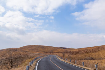 美祢・美東・秋吉台（山口県：2026年2月）