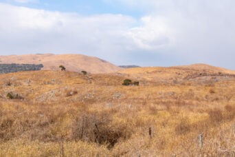 美祢・美東・秋吉台（山口県：2026年2月）