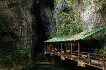 美祢・美東・秋芳洞（山口県：2026年2月）