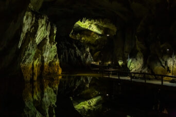 美祢・美東・秋芳洞（山口県：2026年2月）