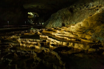 美祢・美東・秋芳洞（山口県：2026年2月）