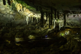 美祢・美東・秋芳洞（山口県：2026年2月）