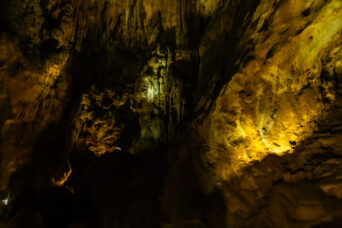 美祢・美東・秋芳洞（山口県：2026年2月）