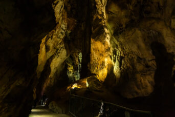 美祢・美東・秋芳洞（山口県：2026年2月）