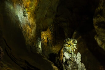 美祢・美東・秋芳洞（山口県：2026年2月）