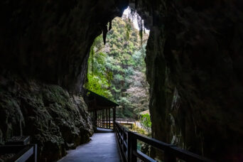 美祢・美東・秋芳洞（山口県：2026年2月）