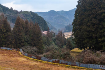 長門・金ノ口・鍋提峠付近（山口県：2026年2月）