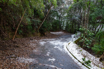 長門・鈩集落付近（山口県：2026年2月）