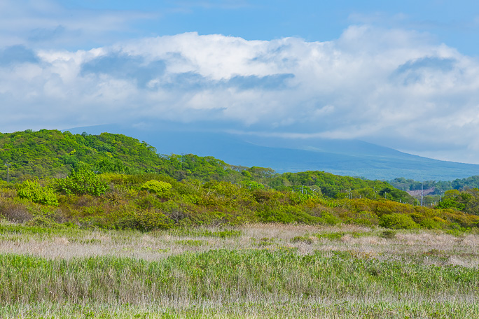 海岸から見晴るかす樽前山の山頂は雲に覆われて姿を見せなかった