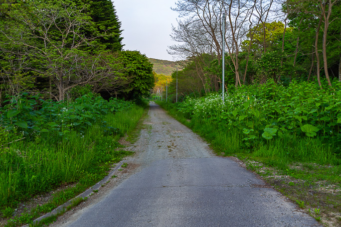 この未舗装路の先にスイッチバック式の豊泉駅の跡が残っている