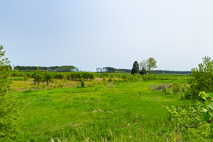 小幌駅への帰路は静狩原野の山麓側を走った
