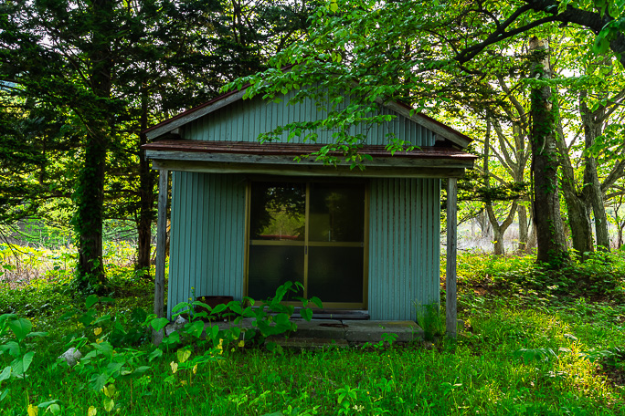 小学校跡近くの道道脇にある上大成神社