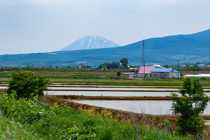 西前田～前田間では稜線の向こうに後方羊蹄山が顔を見せていた