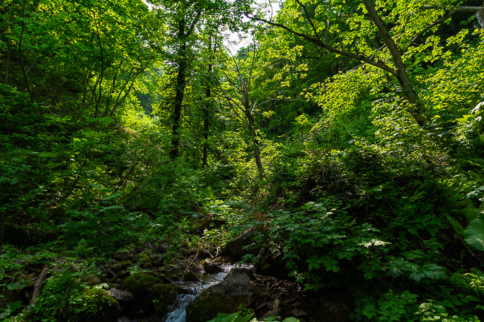 更に奥地に鉱山集落や精錬所もあったようだが踏査は断念した