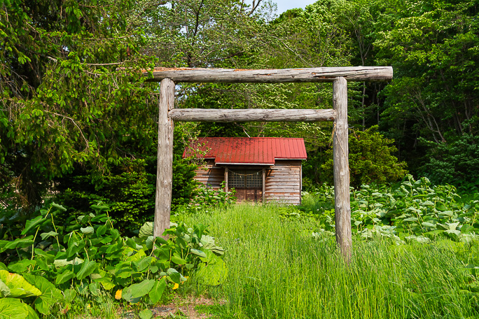 銀山集落の東にある稲穂神社