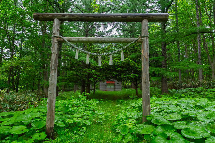 小学校跡の近くの林内にある婦美神社