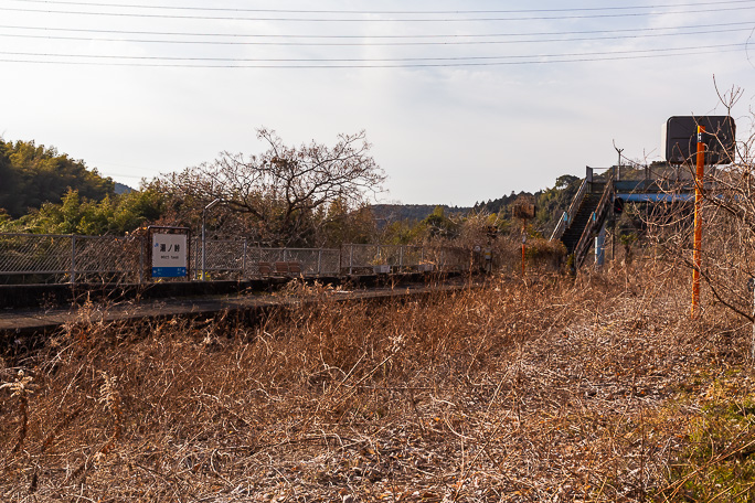 ホームまですっかり藪や灌木に覆われてしまった湯ノ峠駅構内