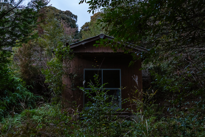 鳥居の先には何故か物置小屋があった