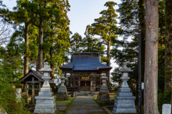 富山地方鉄道本線・若栗駅付近・若埜神社(富山県:2026年3月)