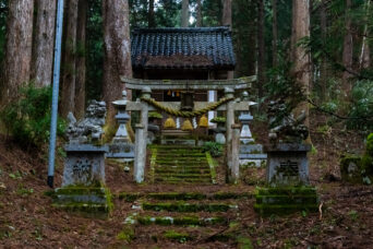 呉東・立山・才覚地八幡宮(富山県:2026年3月)