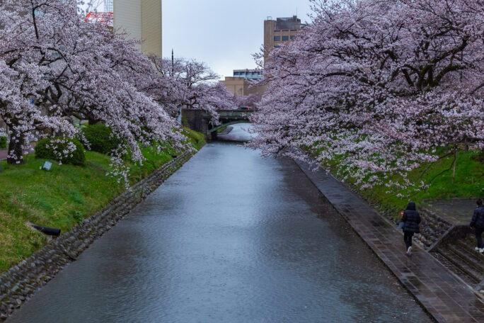 富山地方鉄道富山軌道線・桜橋停留場付近・松川（富山県：2026年3月）