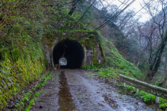 庄川水力電気専用鉄道線・金屋隧道(富山県:2026年4月)