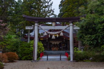 加越能鉄道加越線・高瀬神社駅跡付近・高瀬神社(富山県:2026年4月)