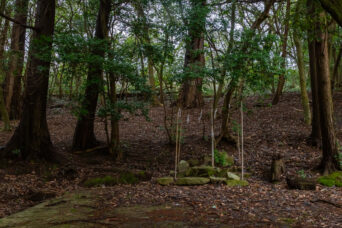 能登・羽咋・神子原権現様(石川県:2026年4月)