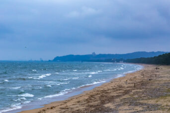JR氷見線・氷見駅付近・氷見海岸(富山県:2026年4月)