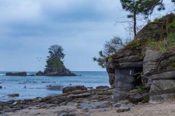 JR氷見線・雨晴駅付近(富山県:2026年4月)