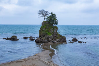 JR氷見線・雨晴駅付近(富山県:2026年4月)
