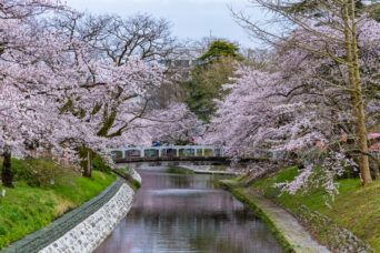 富山地方鉄道支線・県庁前停留場付近・松川（富山県：2026年4月）