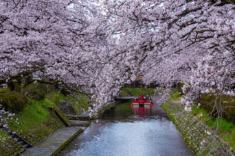 富山地方鉄道支線・県庁前停留場付近・松川（富山県：2026年4月）