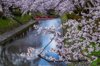 富山地方鉄道支線・県庁前停留場付近・松川（富山県：2026年4月）