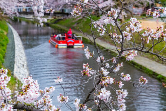 富山地方鉄道支線・県庁前停留場付近・松川（富山県：2026年4月）