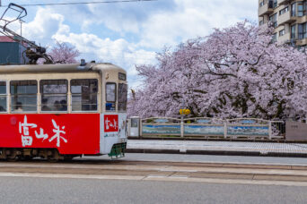 富山地方鉄道支線・県庁前停留場付近・松川（富山県：2026年4月）