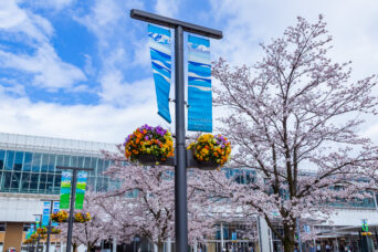 あいの風とやま鉄道鉄道線・富山地方鉄道富山駅南北接続線・富山駅（富山県：2026年4月）