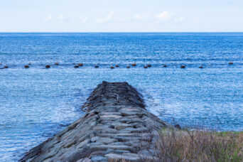 呉東・富山・八重津浜（富山県：2026年4月）