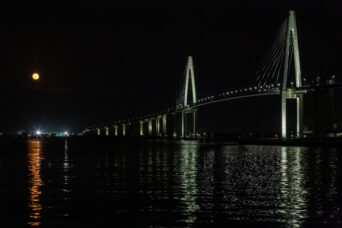 呉西・射水・新湊大橋（富山県：2026年4月）