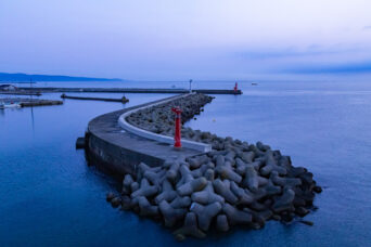 呉西・射水・奈呉の浦（富山県：2026年4月）