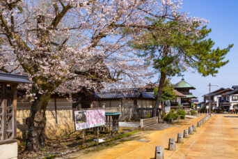 JR城端線・城端駅付近・城端別院善徳寺（富山県：2026年4月）