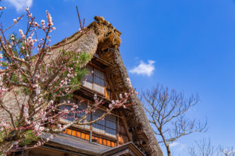 呉東・南砺・五箇山・菅沼集落（富山県：2026年4月）